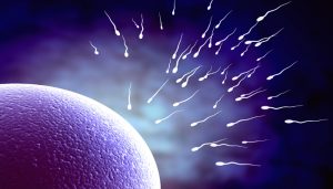 Sperm Testi